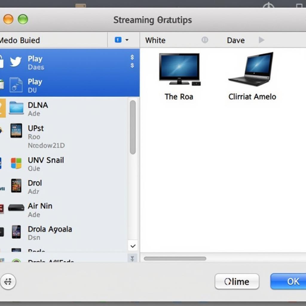 AirPlay DLNA Receiver Pro Interface