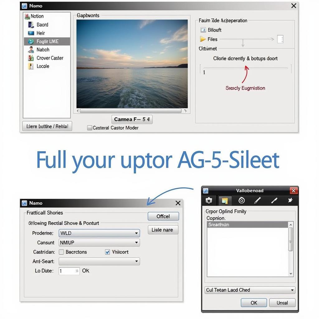 Camera FV-5 Lite Interface