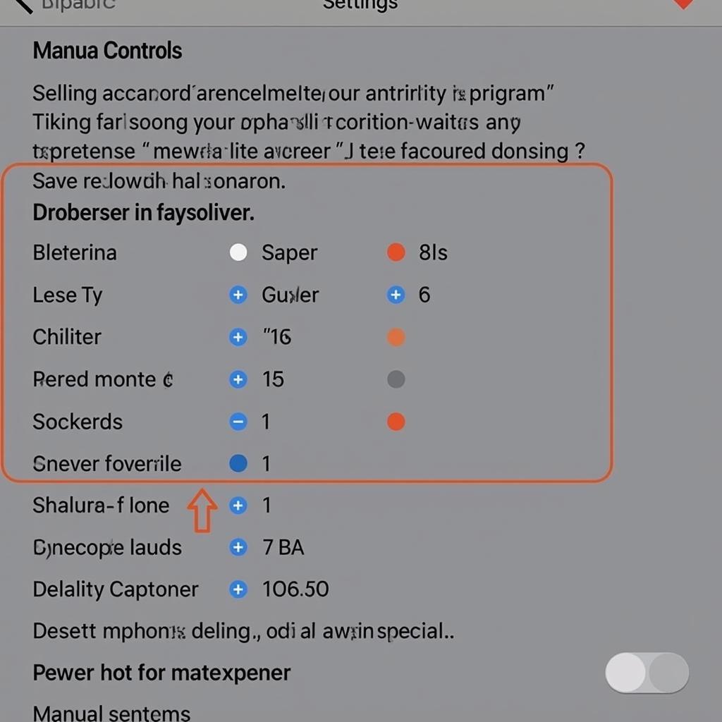 Camera FV-5 Lite Manual Settings