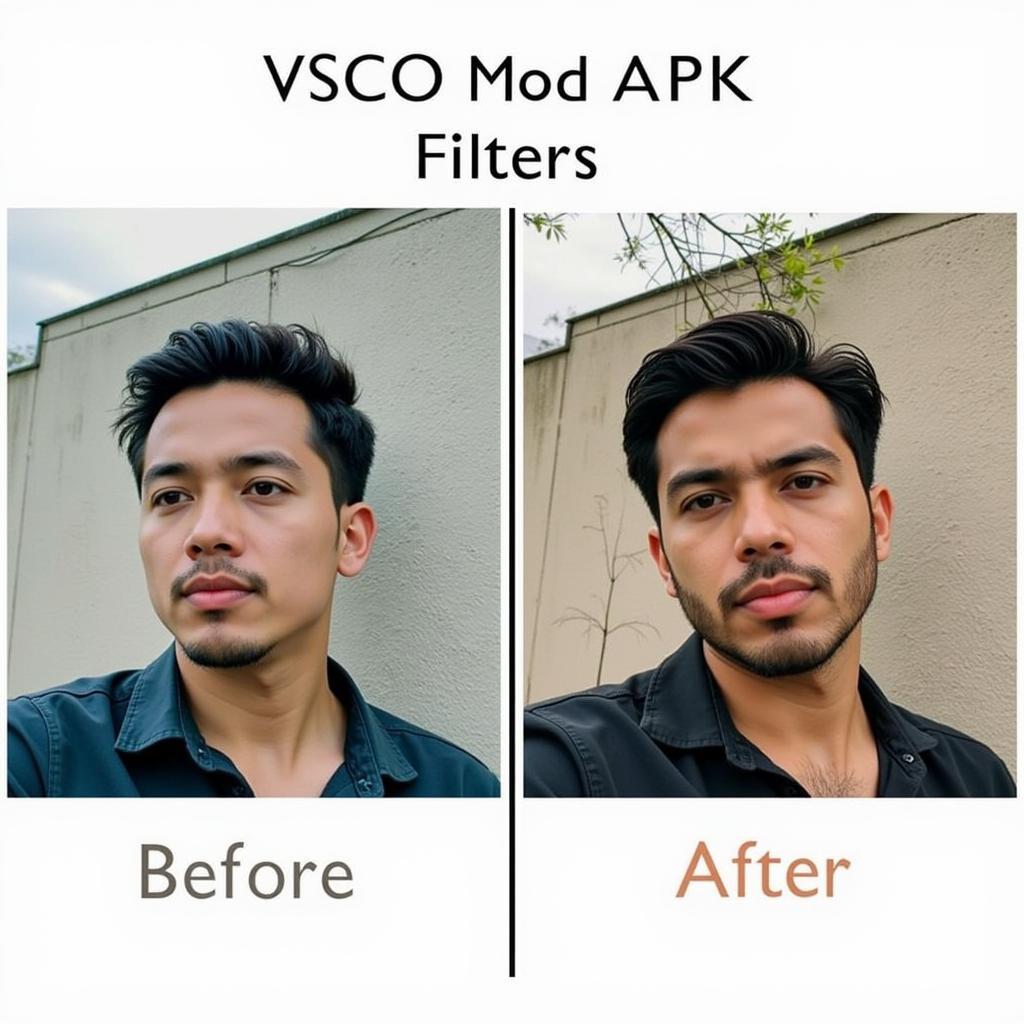 VSCO Mod APK Filters