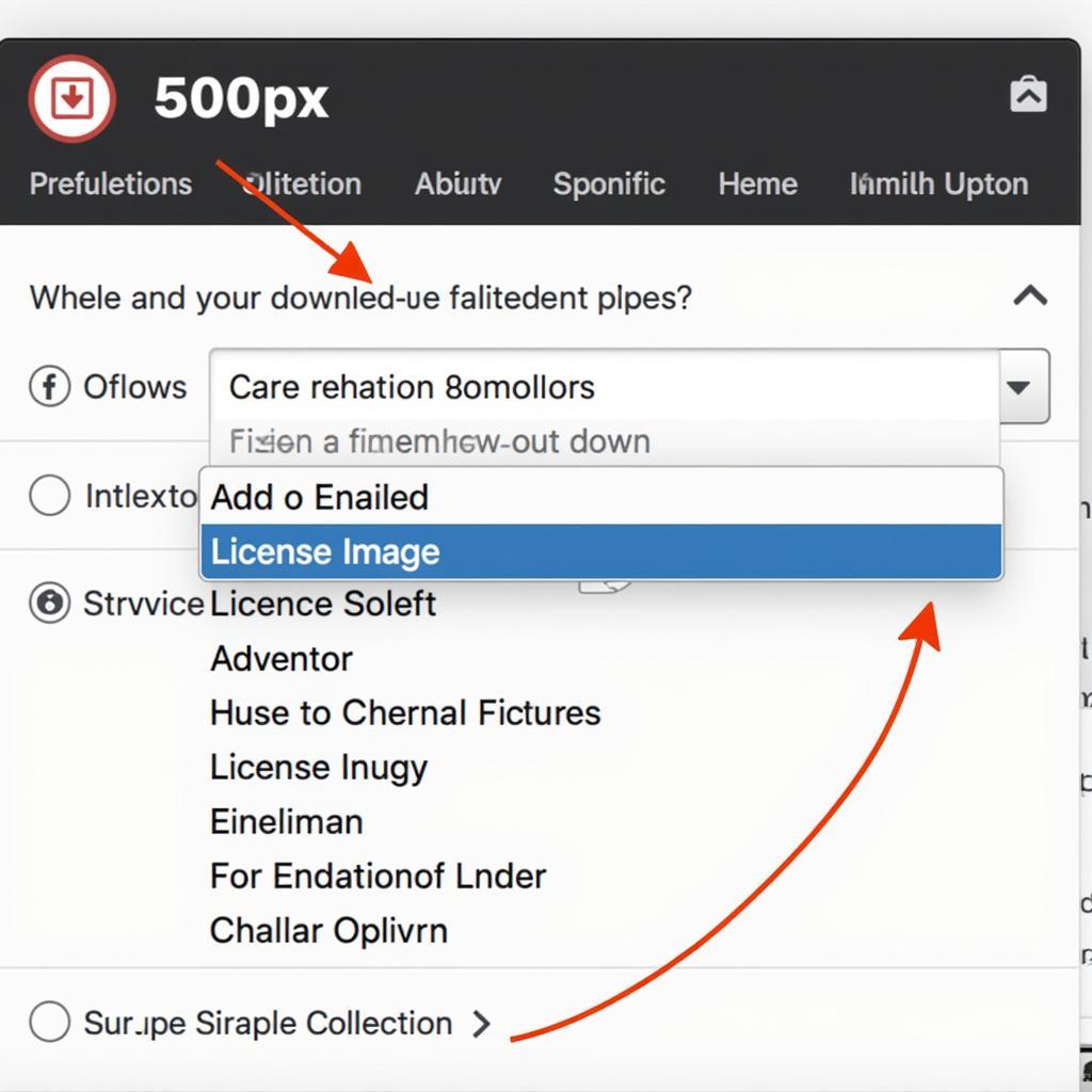 Using 500px's Official Download Features