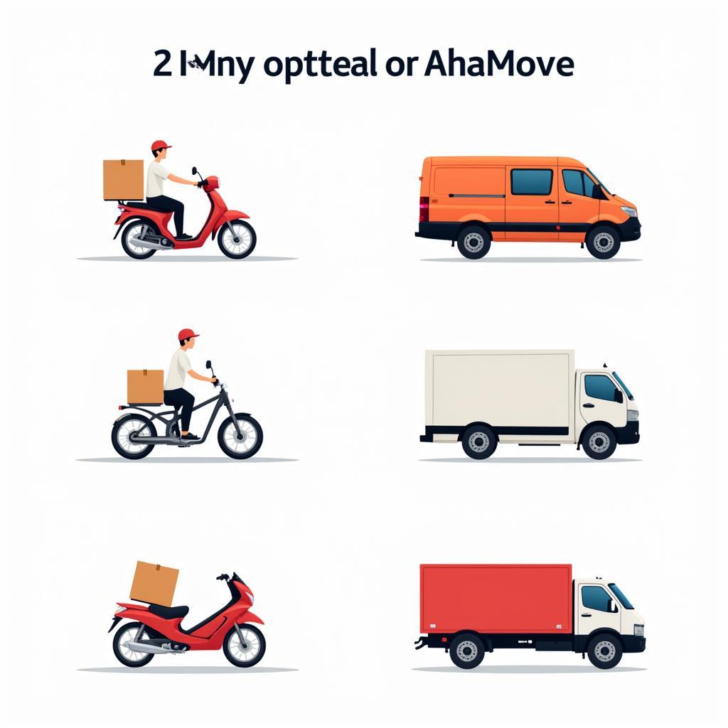 AhaMove Delivery Vehicle Options