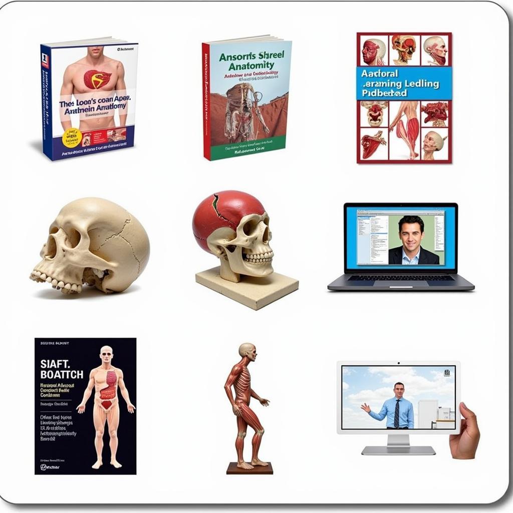 Anatomy Learning Resources