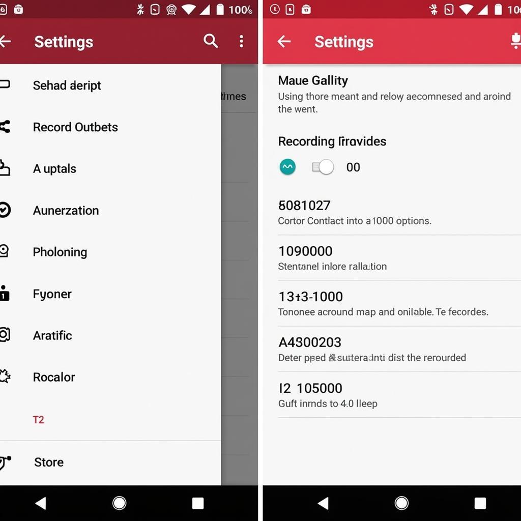 Call Recorder Pro APK Settings