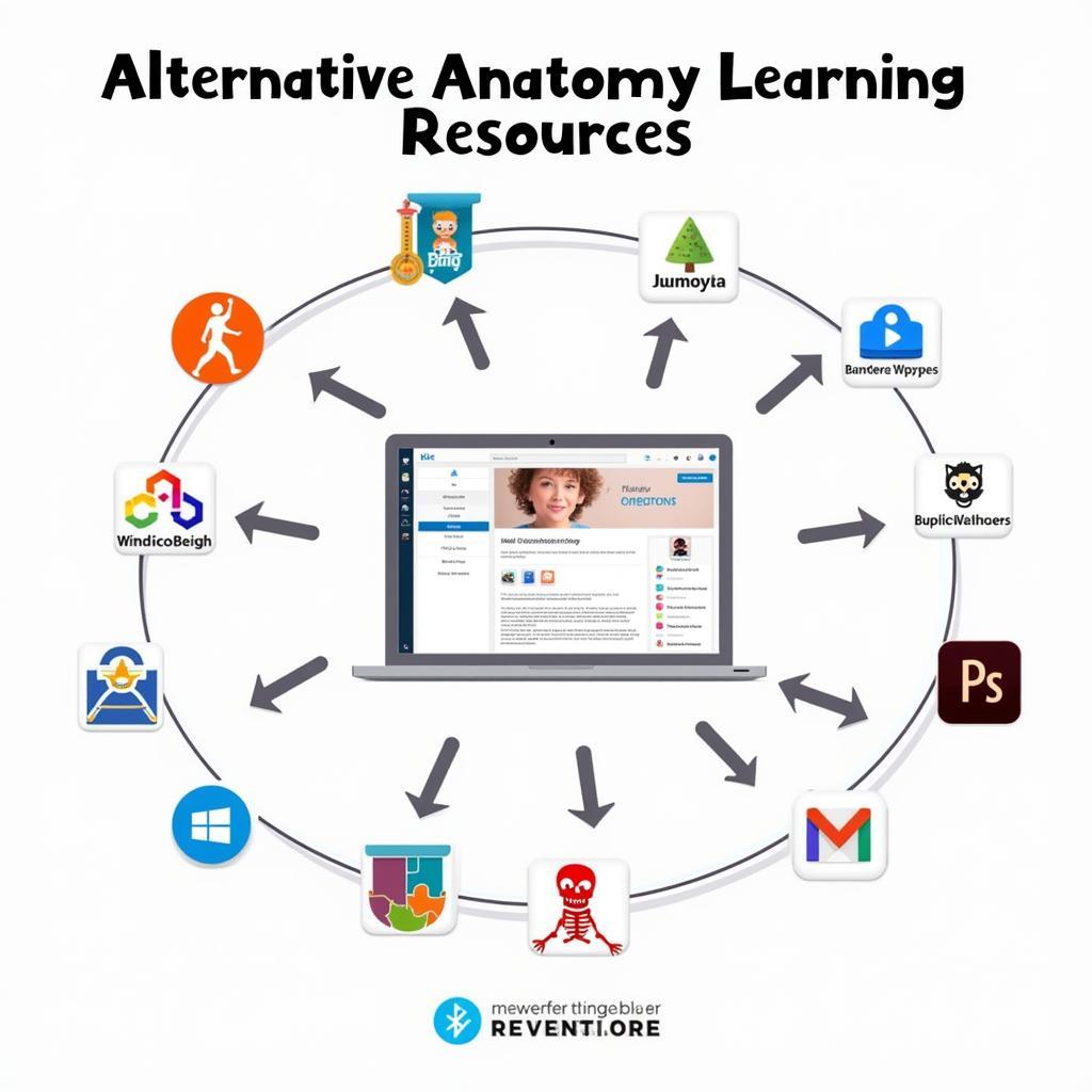 Complete Anatomy Alternatives