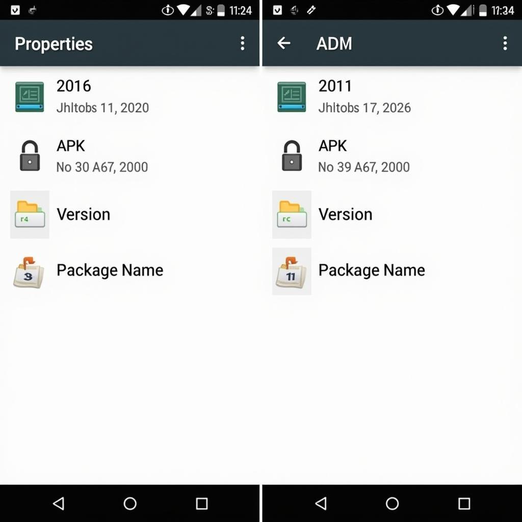 File Manager Showing APK Information