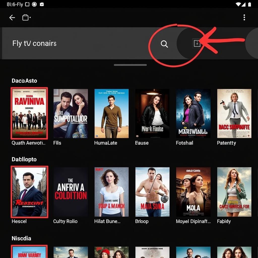 Fly TV APK 2019 Content Library