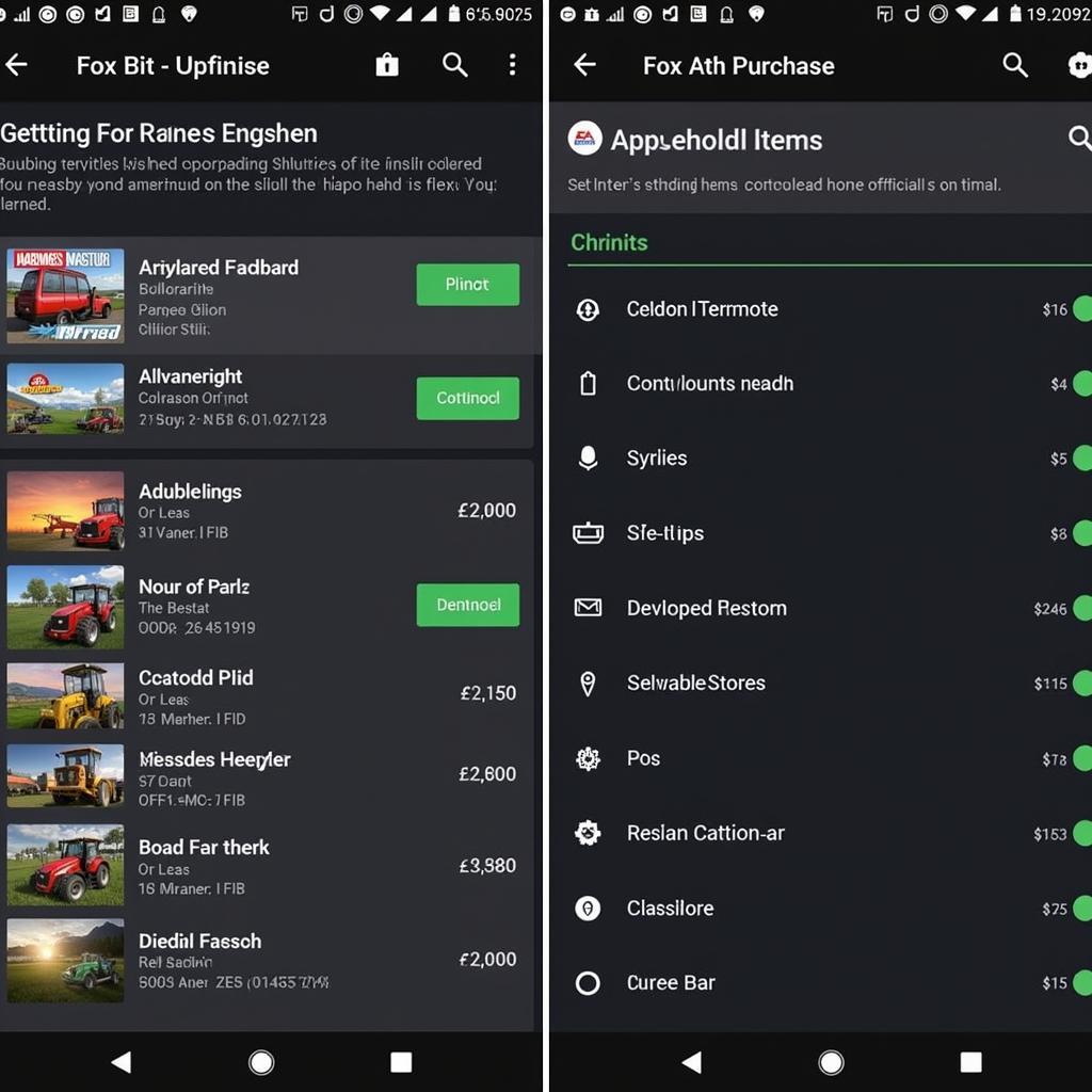 Understanding In-App Purchases and Official FS19 Version on Android