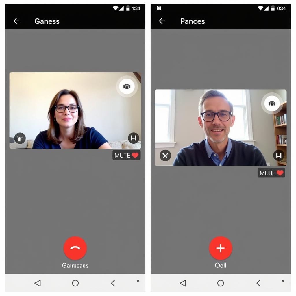 Google Duo APK Video Call Interface