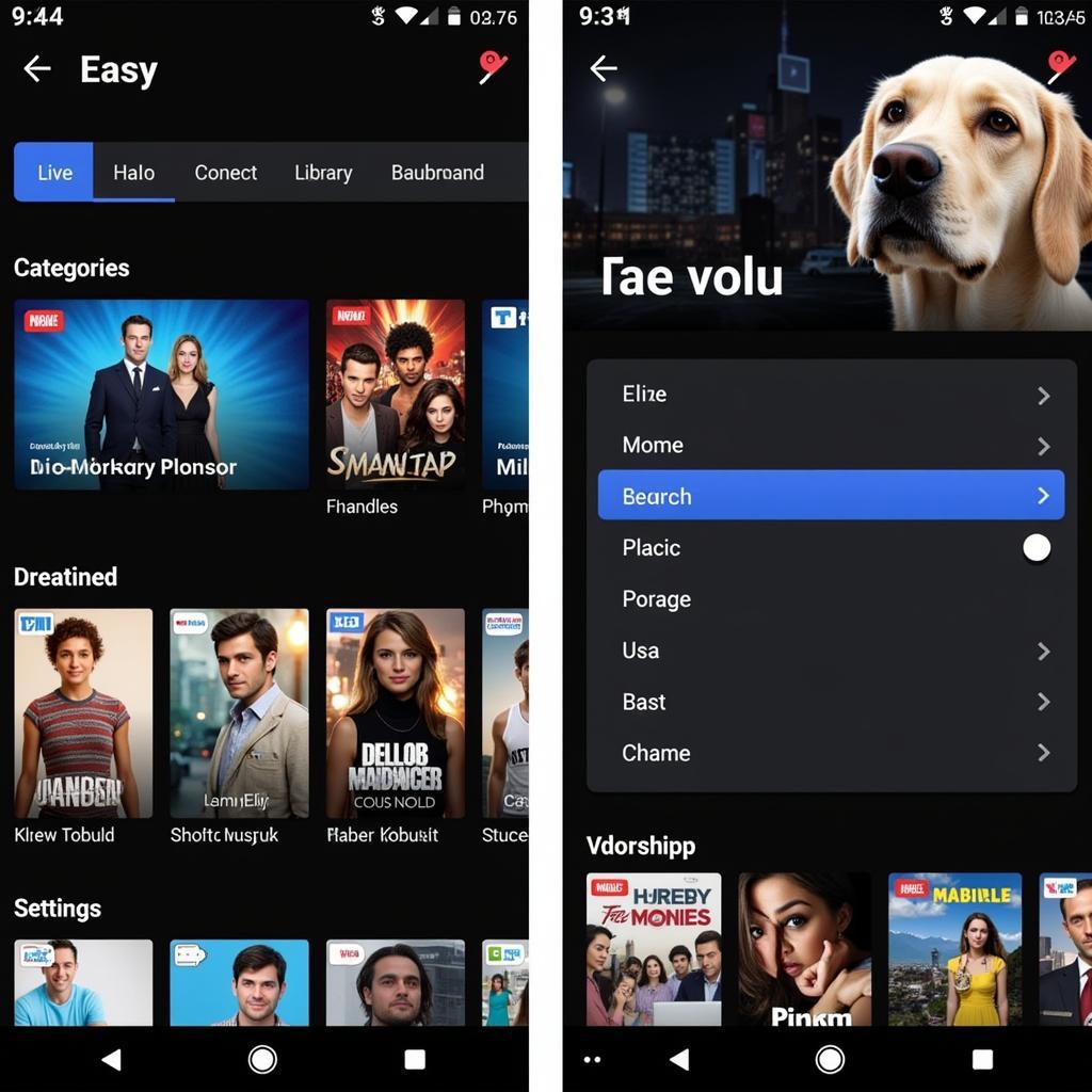 Best TV APK Interface