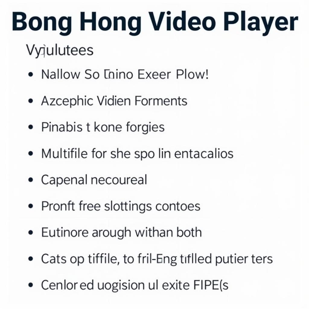 Bong Hong Video Player Features Overview