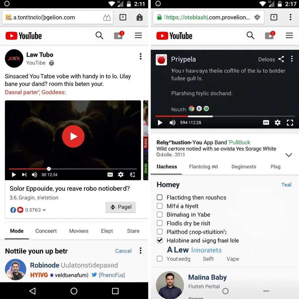 Comparing Official vs. Modified YouTube Apps